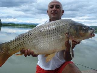 13250 grame